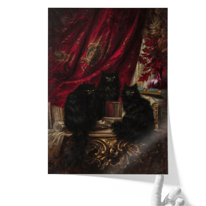 Three Black Cats - Canvas Print Wall Art