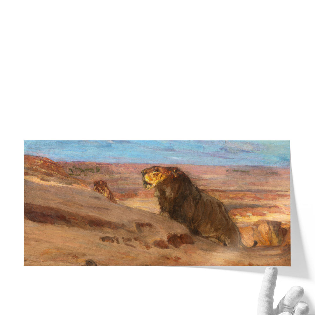 Lions in the Desert  - Canvas Print Wall Art