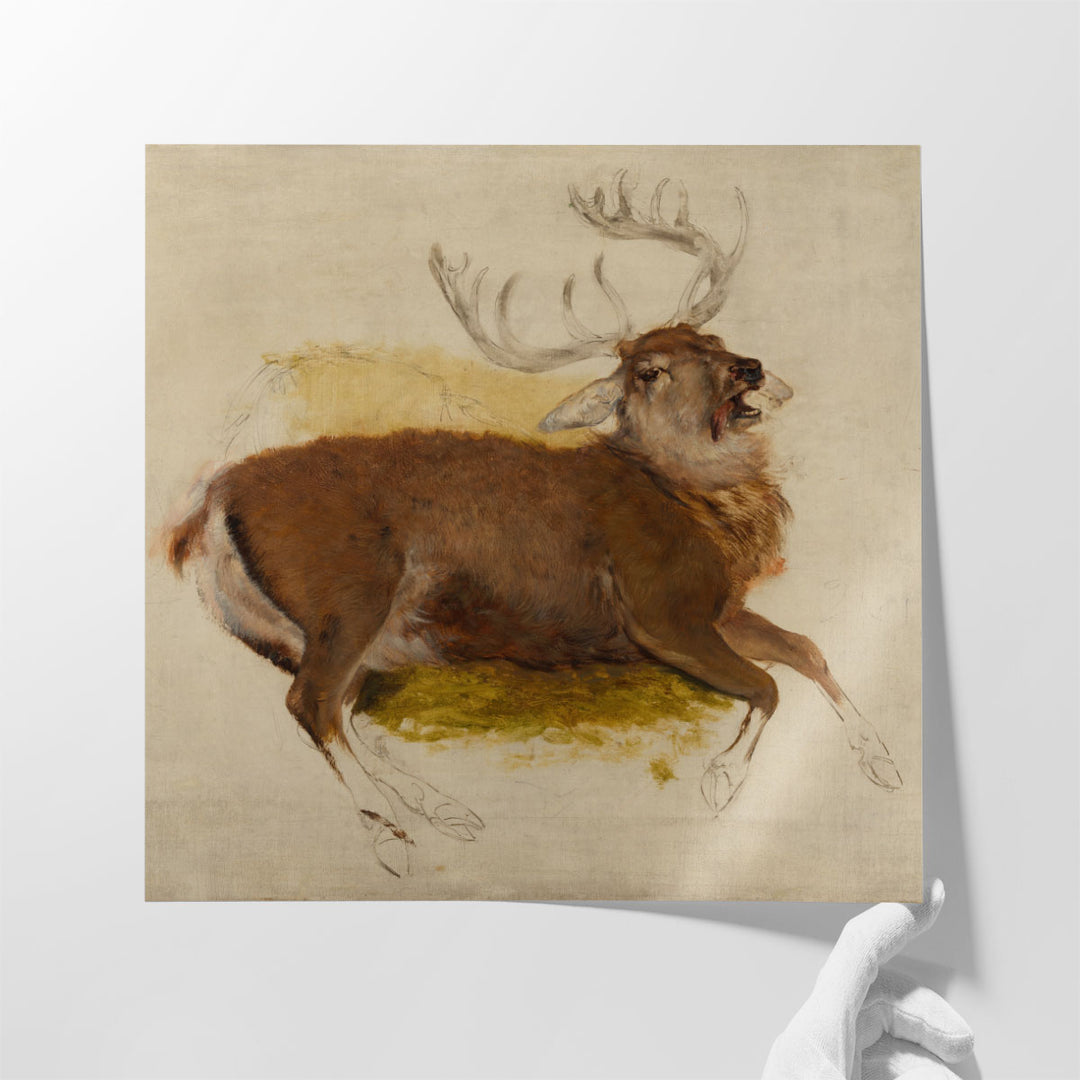 Dying Stag, 1830 - Canvas Print Wall Art