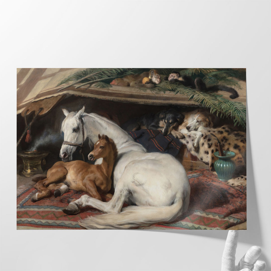 The Arab Tent - Canvas Print Wall Art