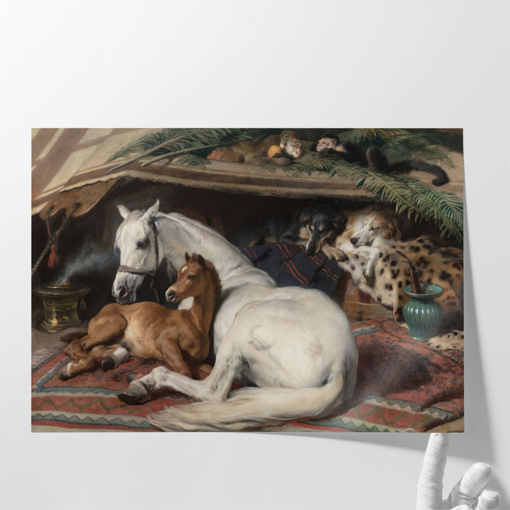 The Arab Tent - Canvas Print Wall Art