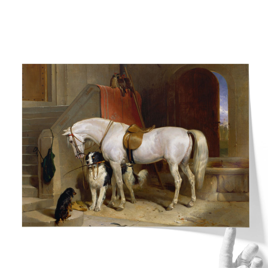 Favourites, the Property of H.R.H. Prince George of Cambridge - Canvas Print Wall Art