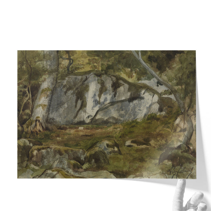 Forest with Boulders - Canvas Print Wall Art
