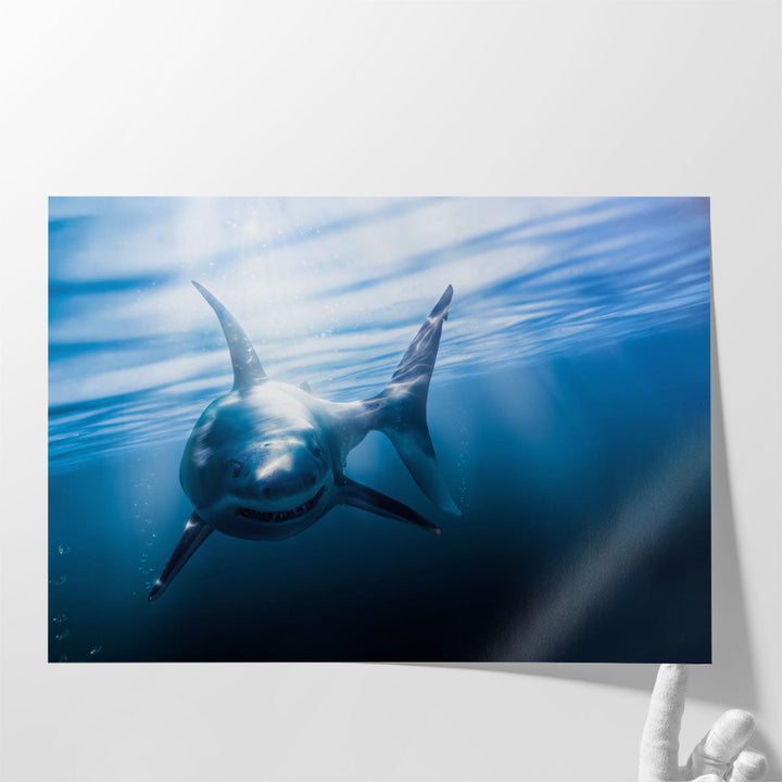 Great White Shark - Canvas Print Wall Art