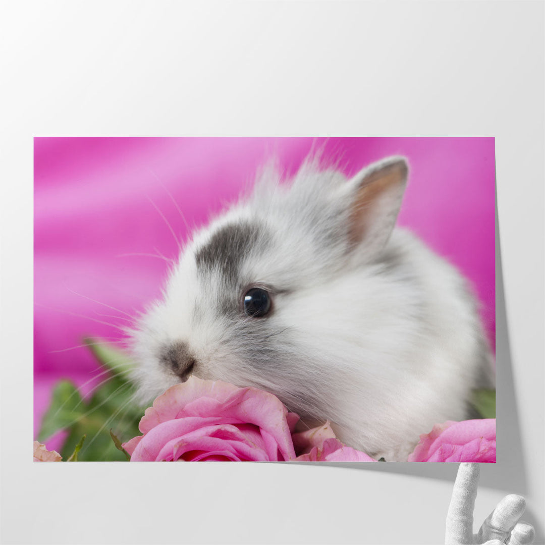 Cute Rabbit With Pink Roses - Canvas Print Wall Art