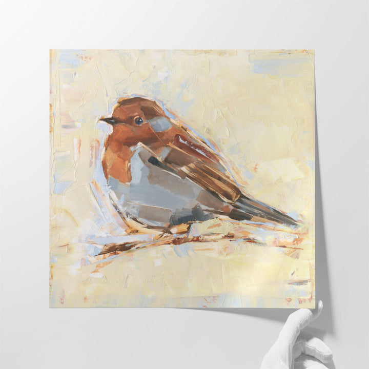 Bird Variety I - Canvas Print Wall Art