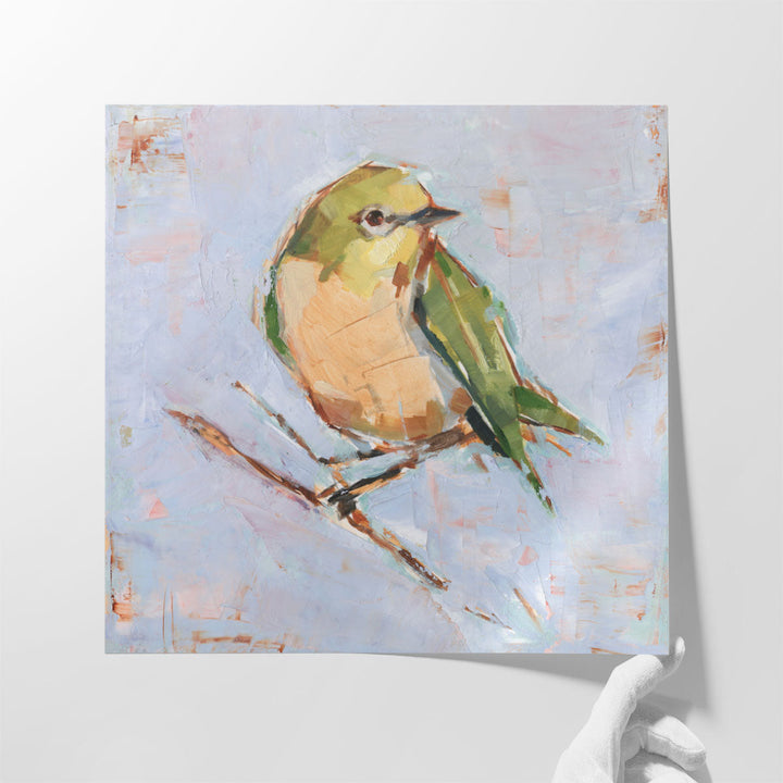 Bird Variety II - Canvas Print Wall Art