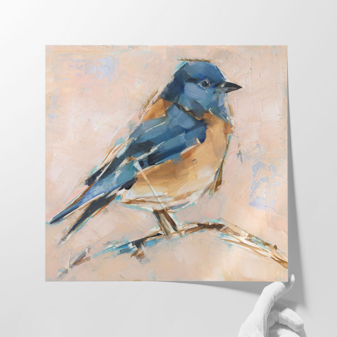 Bird Variety III - Canvas Print Wall Art