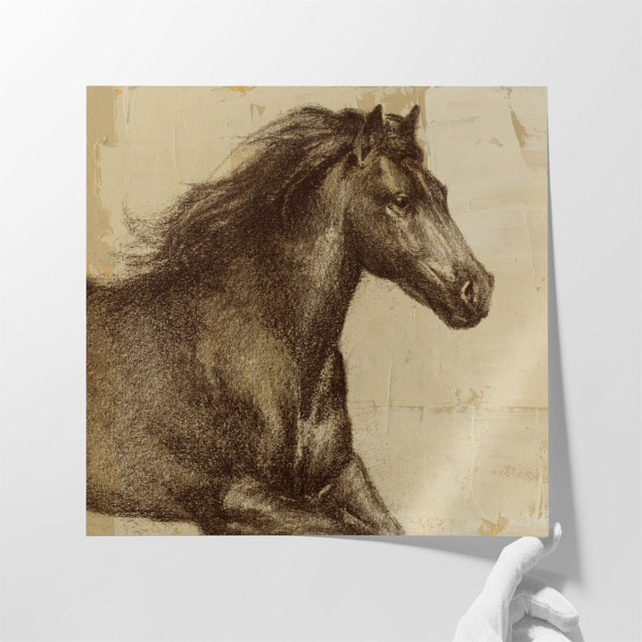 Majestic Horse I - Canvas Print Wall Art