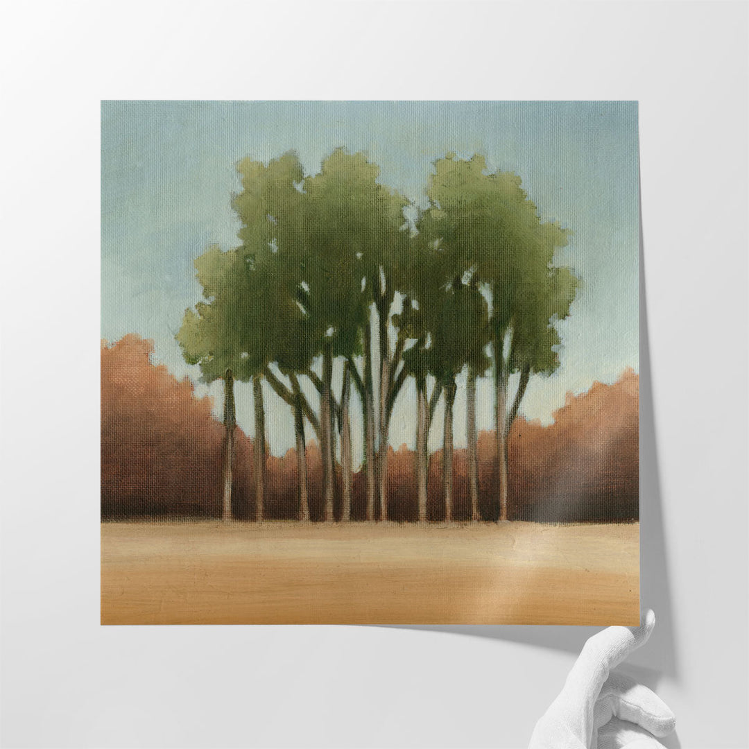 Stand of Trees I - Canvas Print Wall Art