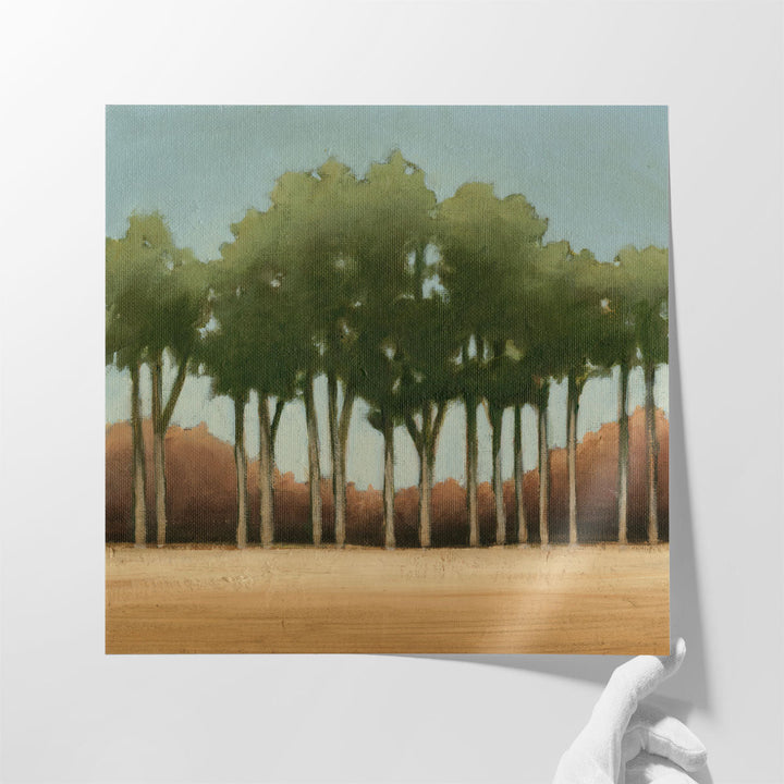 Stand of Trees II - Canvas Print Wall Art