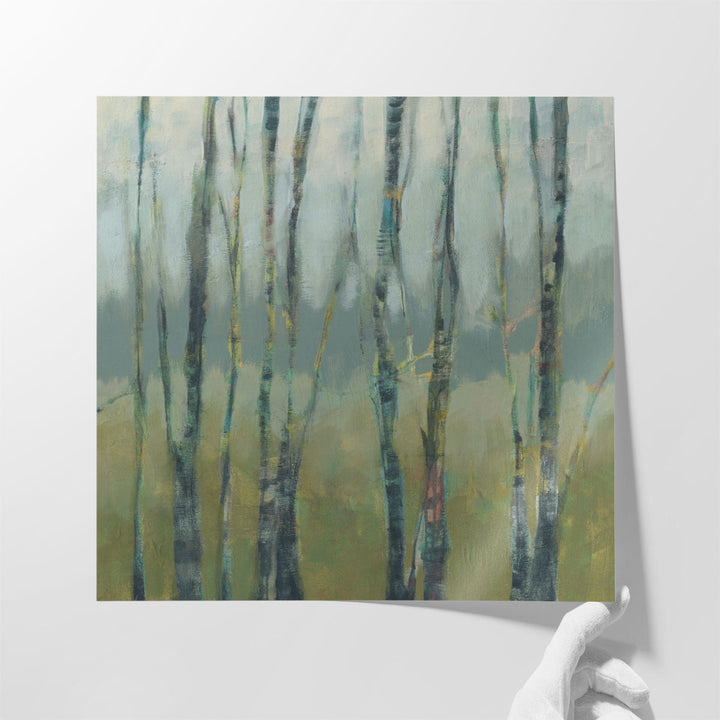 Transitional Treeline I - Canvas Print Wall Art