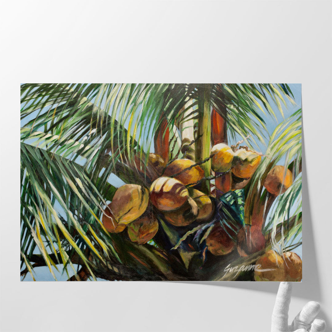 Los Cocos - Canvas Print Wall Art