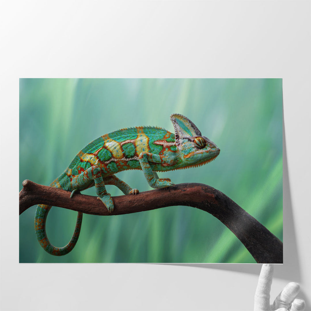 Beautiful Chameleon On The Wood - Canvas Print Wall Art