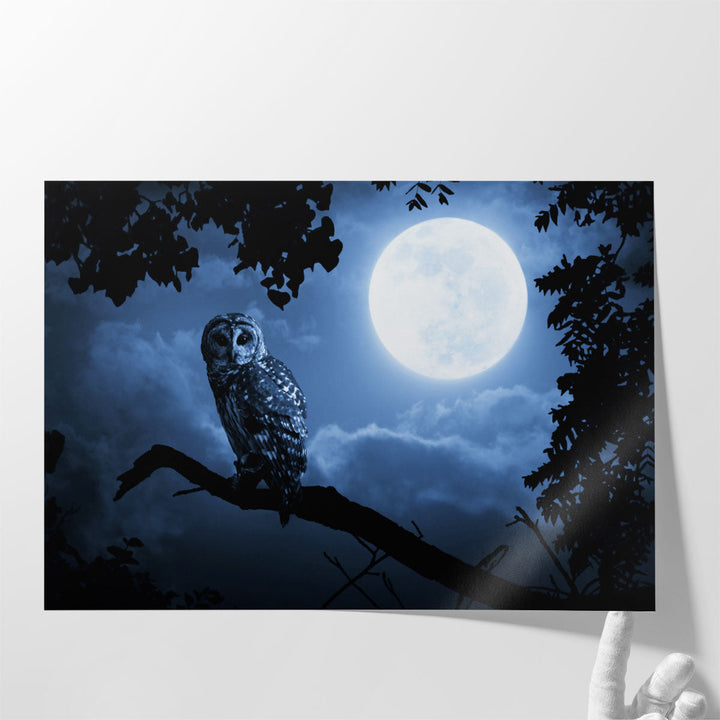 An Owl, Quiet Night, and a Bright Moon - Canvas Print Wall Art