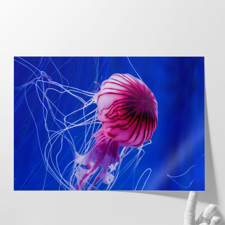 Beautiful Jellyfish Close-up - Canvas Print Wall Art