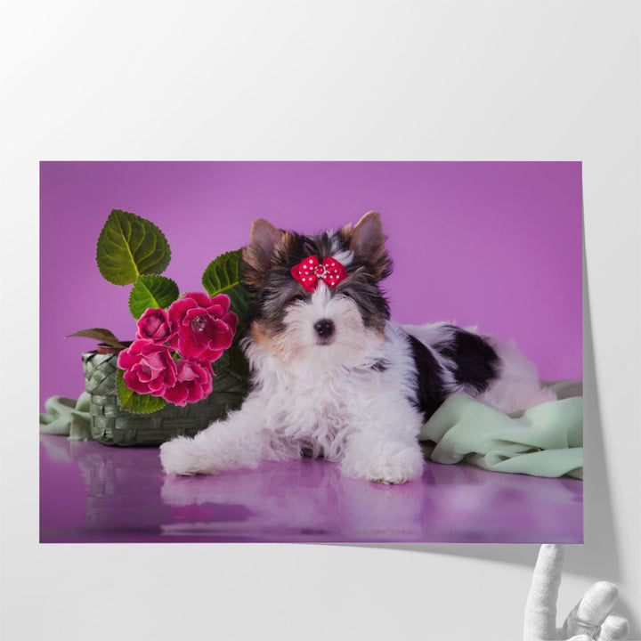 Beaver York Dog With Flowers - Canvas Print Wall Art