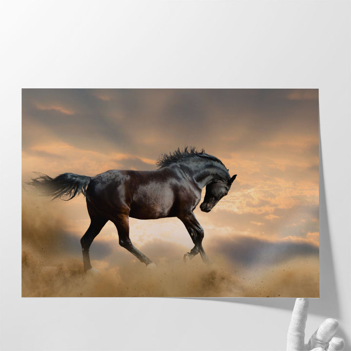 Black Stallion Horse - Canvas Print Wall Art