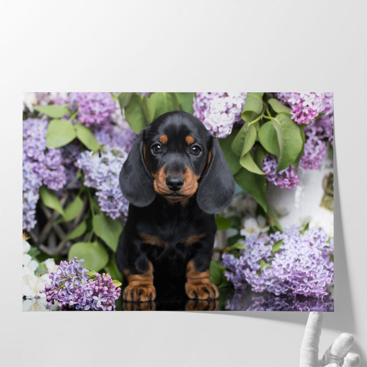 Dachshund with Flowers - Canvas Print Wall Art