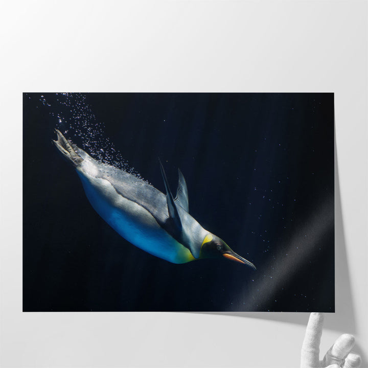 Elegant Emperor Penguin Underwater - Canvas Print Wall Art