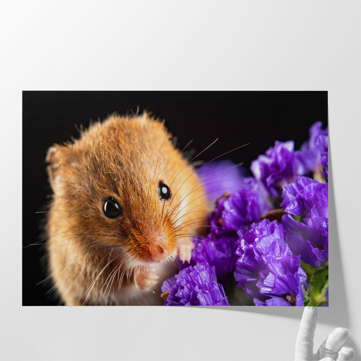 Harvest Mice On Flowers - Canvas Print Wall Art