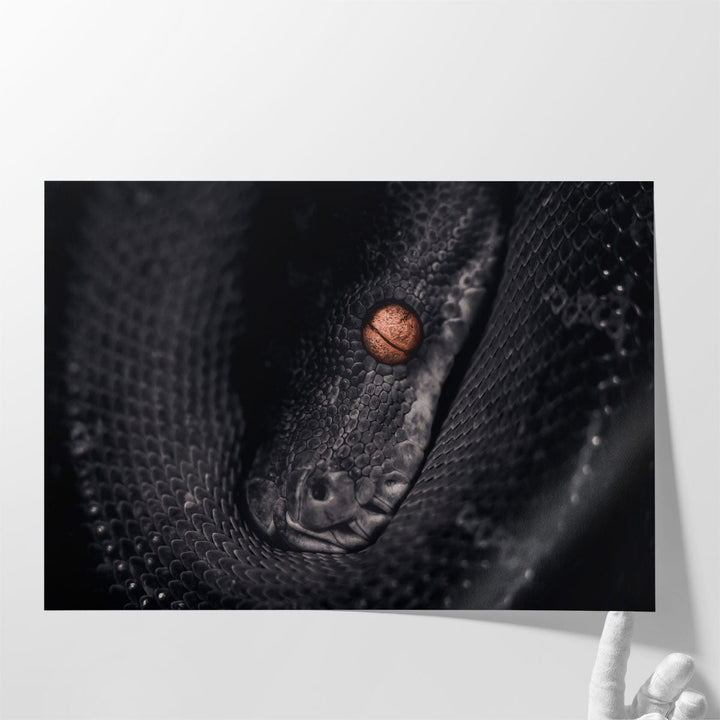 Python Snake Photography - Canvas Print Wall Art