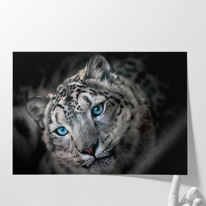 Snow leopard or Irbis Portrait - Canvas Print Wall Art