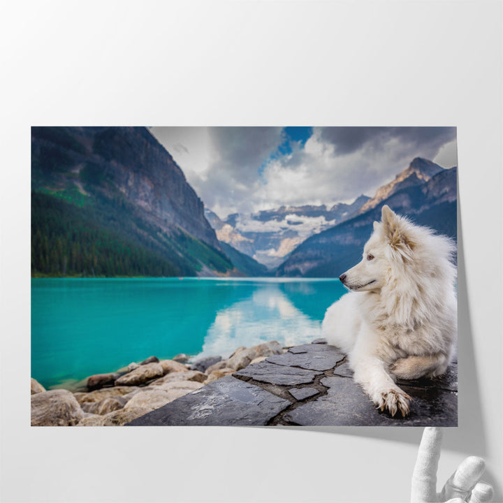 White Fox Sitting On A Lakefront Near Mountains - Canvas Print Wall Art