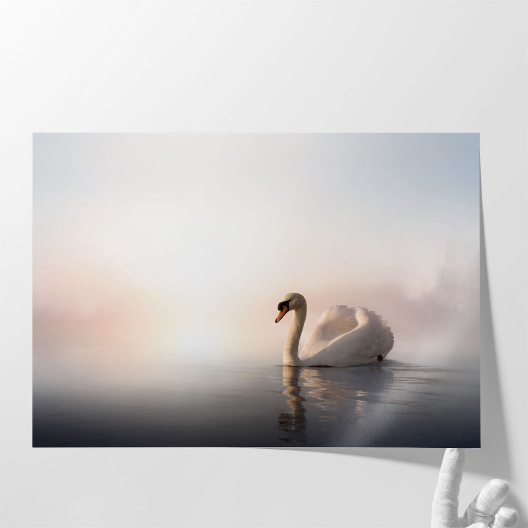 Swan Floating on the Water At Sunrise - A Minimalistic Art - Canvas Print Wall Art