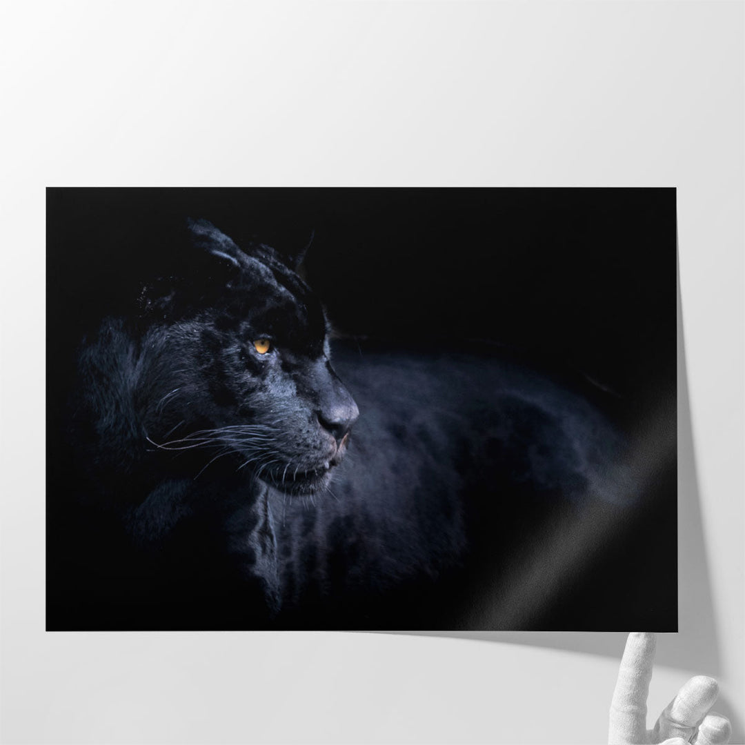 Black Panther with a Black Background - Canvas Print Wall Art