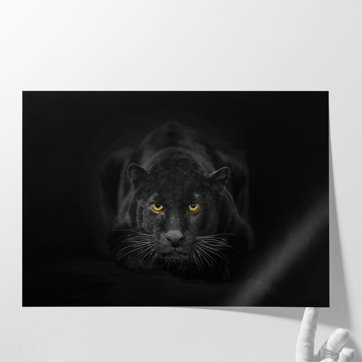 Black Panther Sitting in a Dark Background - Canvas Print Wall Art