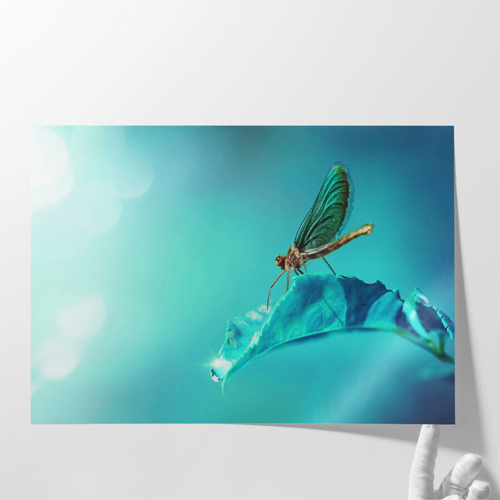 Dragonfly on Leaf With A Drop of Morning Dew - Canvas Print Wall Art