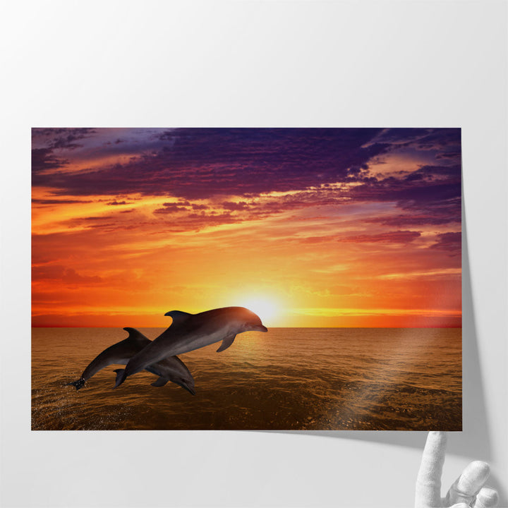 Jumping Dolphins, Beautiful Red Sunset on Sea - Canvas Print Wall Art