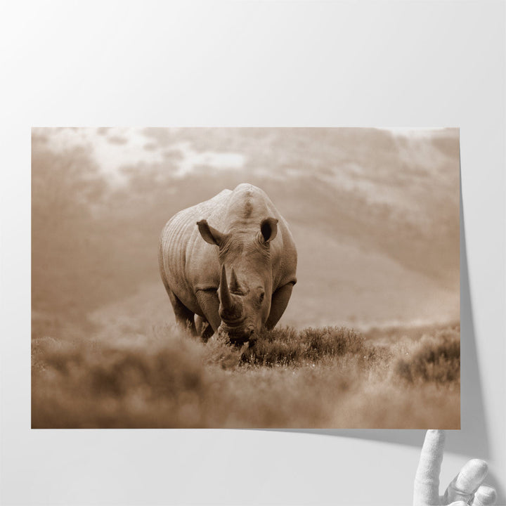 A White Rhino With Big Horns in South Africa - Canvas Print Wall Art