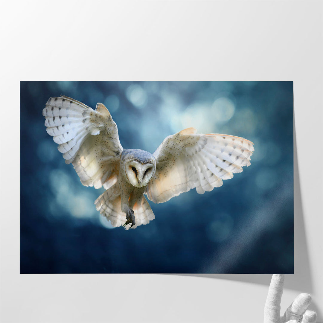 Hunting Barn Owl in Flight - A Wildlife Scene - Canvas Print Wall Art