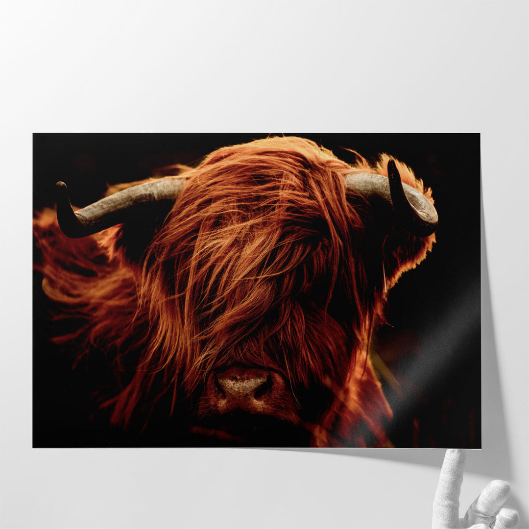 A Close-Up of Highland Cows - Canvas Print Wall Art