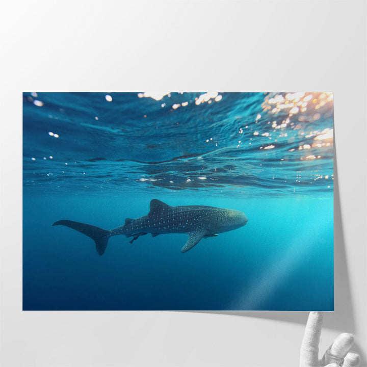 Whale Shark Swimming Near the Water Surface - Canvas Print Wall Art