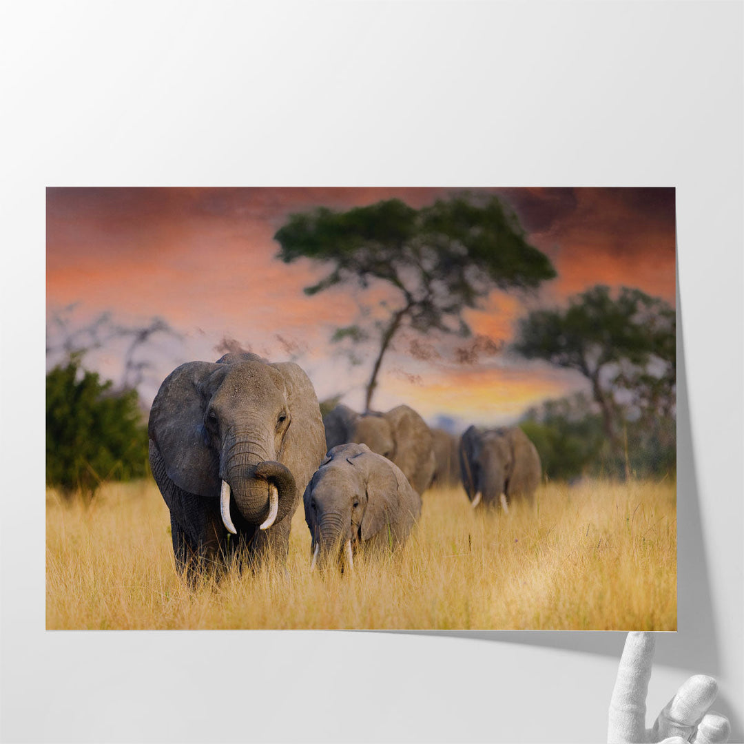 A Herd of Wild Elephants in Tarangire National Park - Canvas Print Wall Art