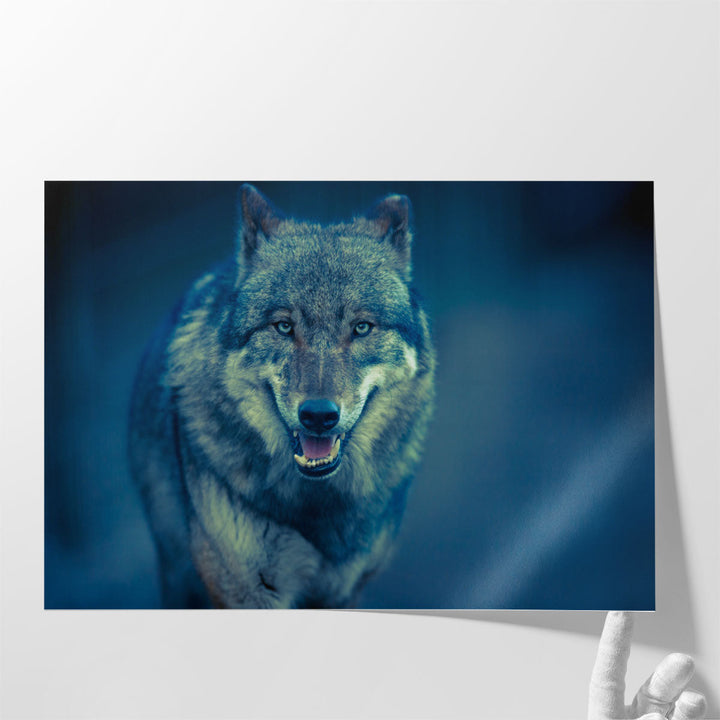 Scary Dark Gray Canis Lupus Wolf - Canvas Print Wall Art