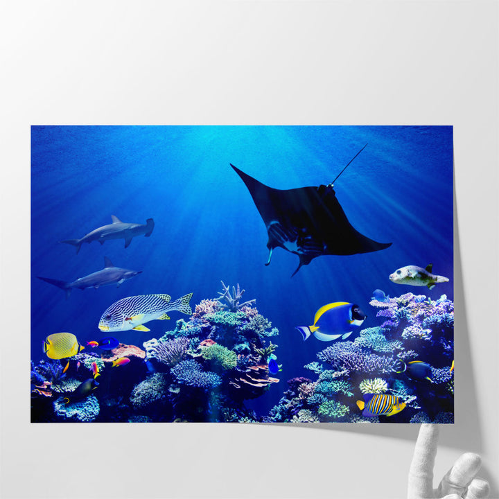 Eagle Ray and Hammerhead Sharks , Underwater Coral Reef - Canvas Print Wall Art