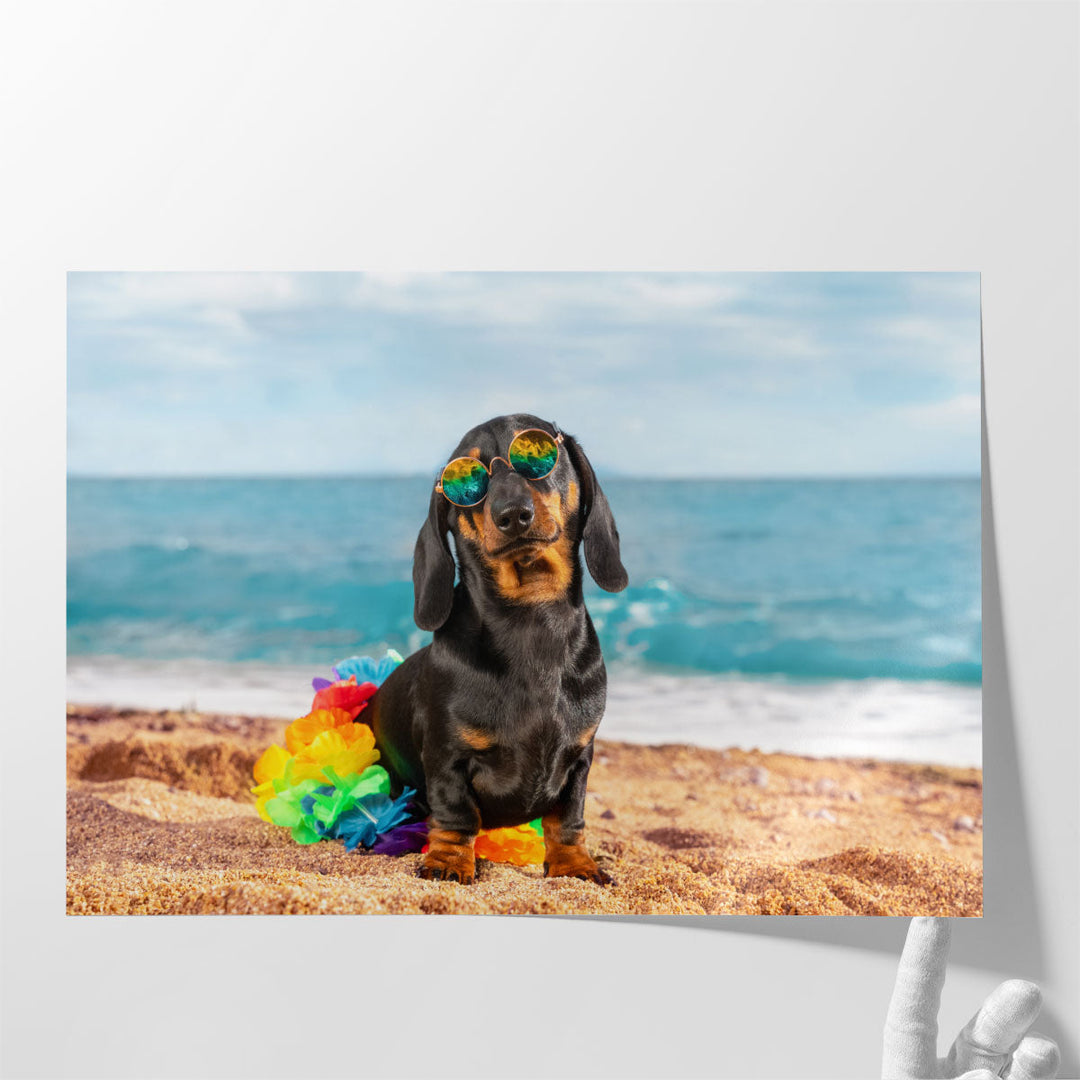 Funny Dachshund Puppy in its Style Sitting On a Beach - Canvas Print Wall Art