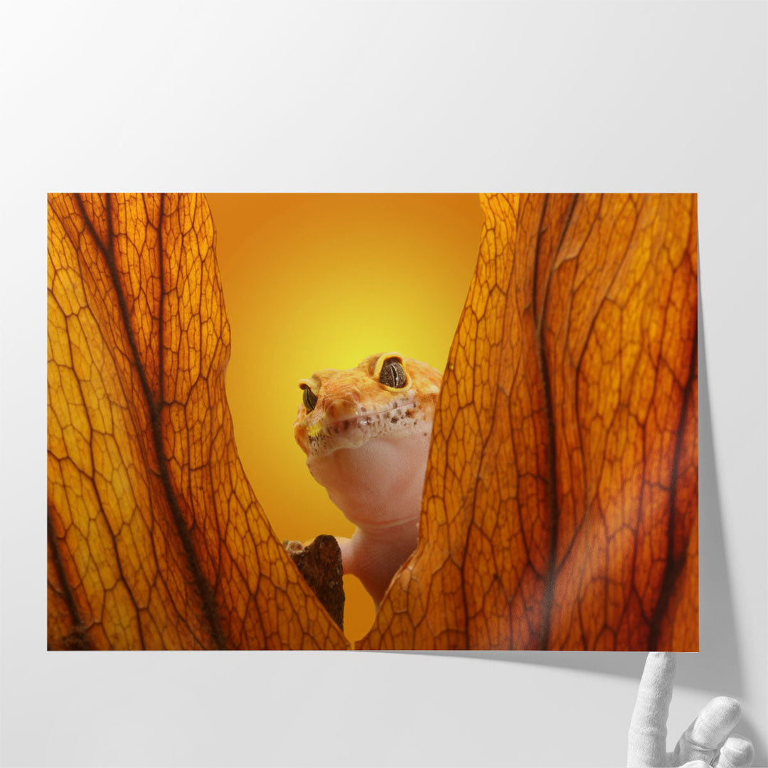 Gecko Lizard on Yellow Background - Canvas Print Wall Art