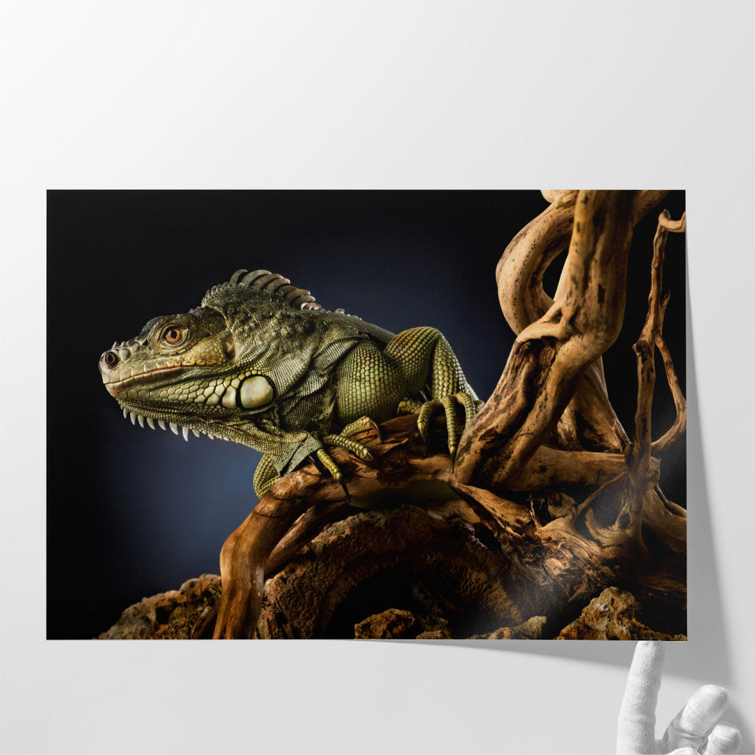 Iguana Lizard on a Tree Branch, Reptile Photography - Canvas Print Wall Art