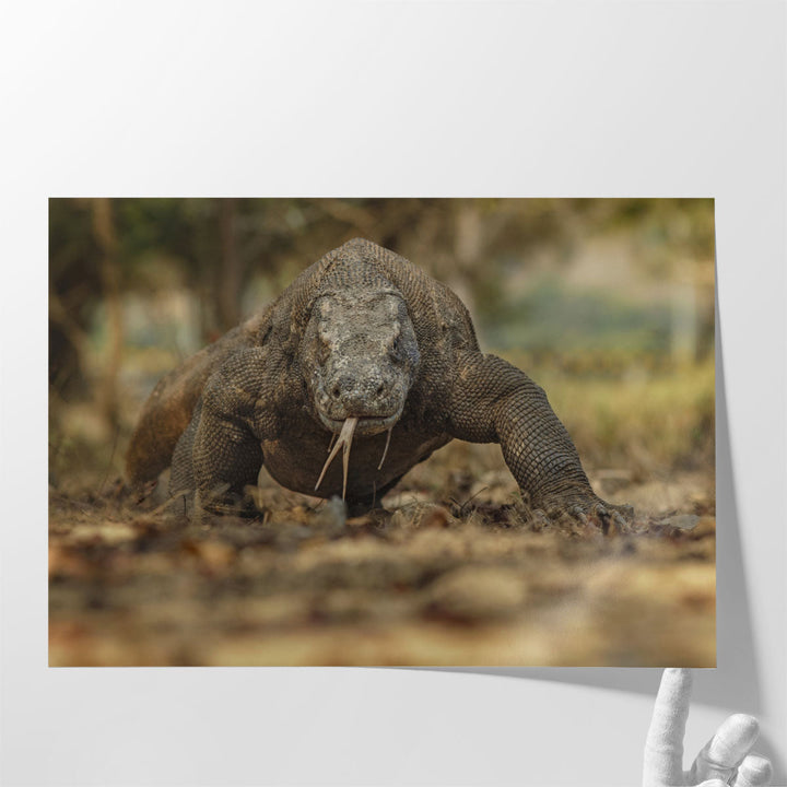 Komodo Dragon in the Beautiful Nature Habitat - Canvas Print Wall Art