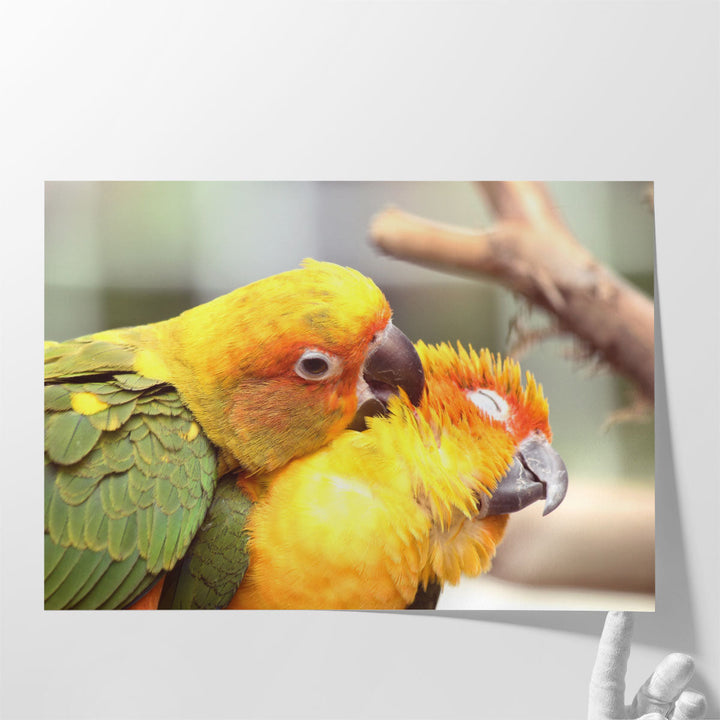 Lovely Parrots Couple - Canvas Print Wall Art