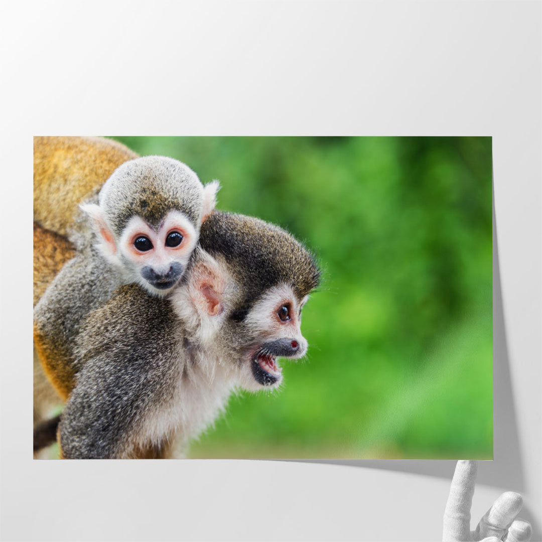 Mother Squirrel Monkey With her Child - Canvas Print Wall Art