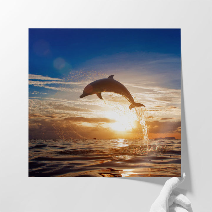 A Dolphin Leaping From Sea Water During Shining Sunset - Canvas Print Wall Art