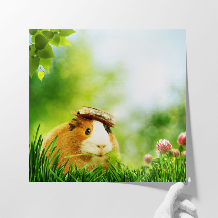 Funny Guinea Pig in Nature - Canvas Print Wall Art