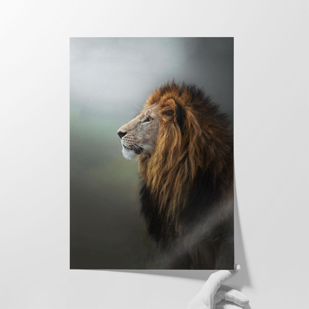 Magnificent Lion With A Large Lush Head of Hair - Canvas Print Wall Art