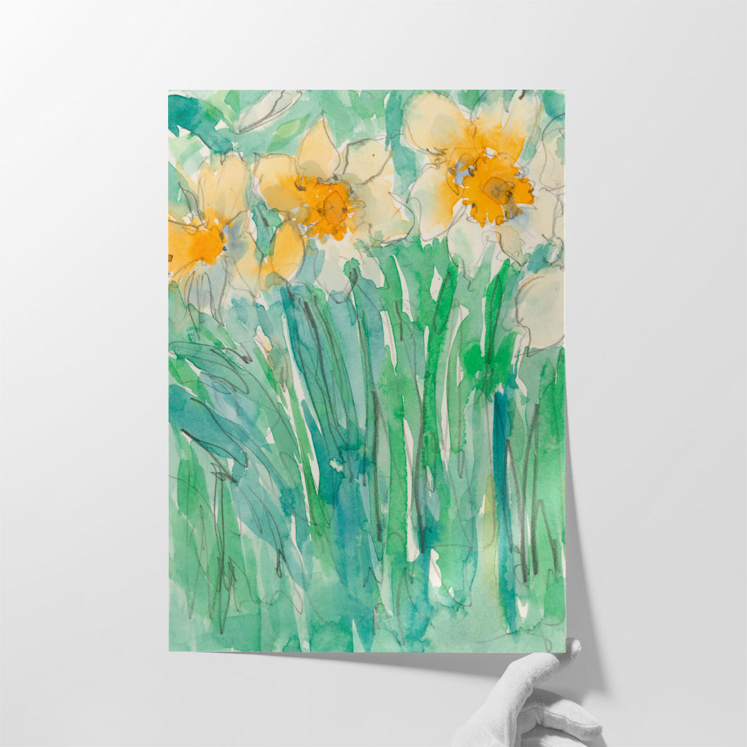 Daffodils Stems I - Canvas Print Wall Art